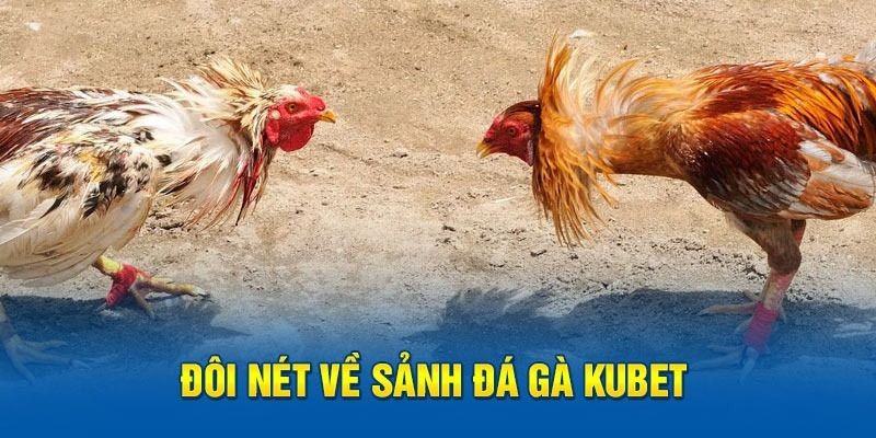 Tổng quan về sân chơi đá gà Kubet trực tuyến