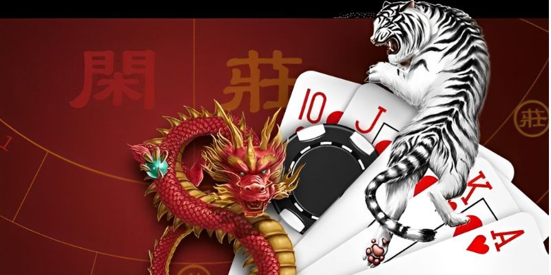 Giới thiệu rồng hổ Kubet